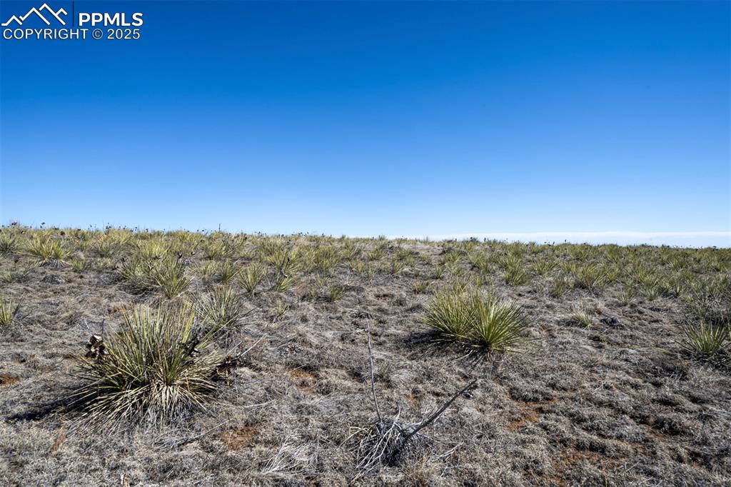 Image 13 of 42: Other