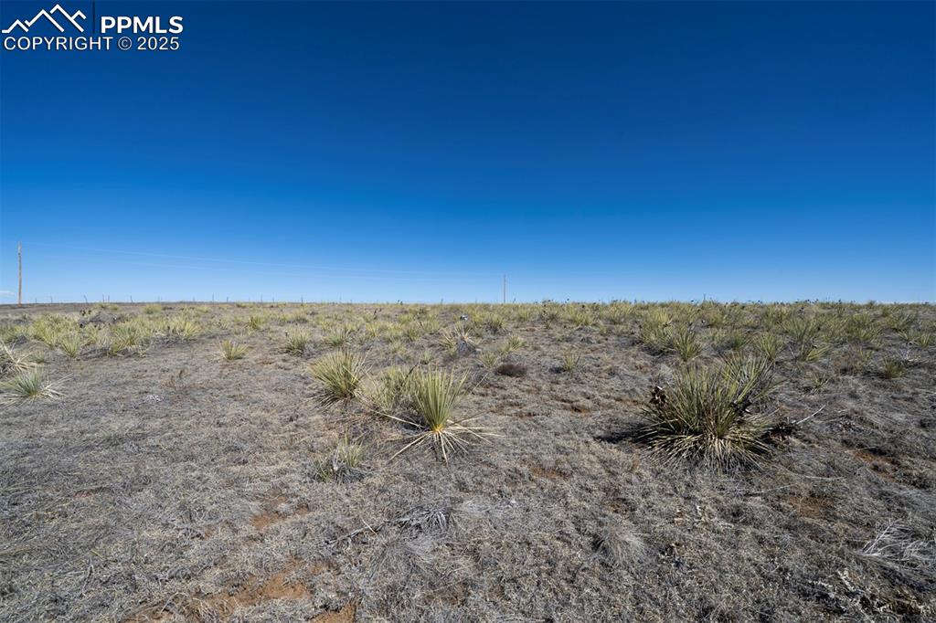 Image 14 of 42: Other