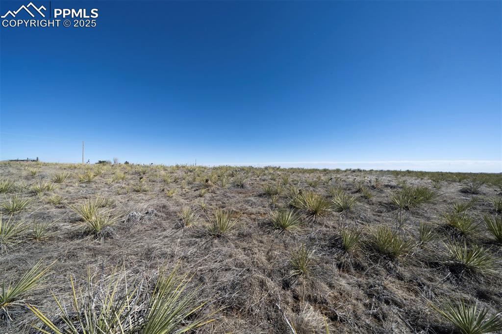 Image 15 of 42: Other