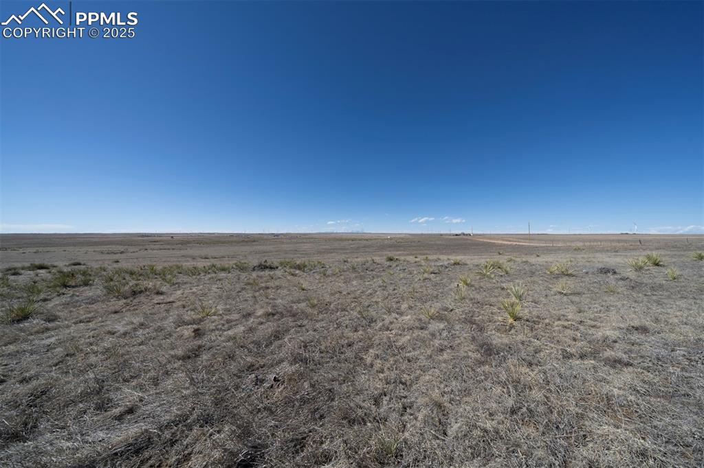 Image 16 of 42: Other