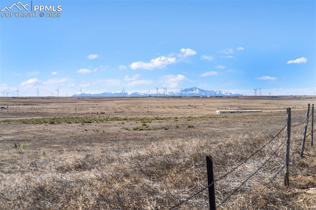 Image 17 of 42: Yard