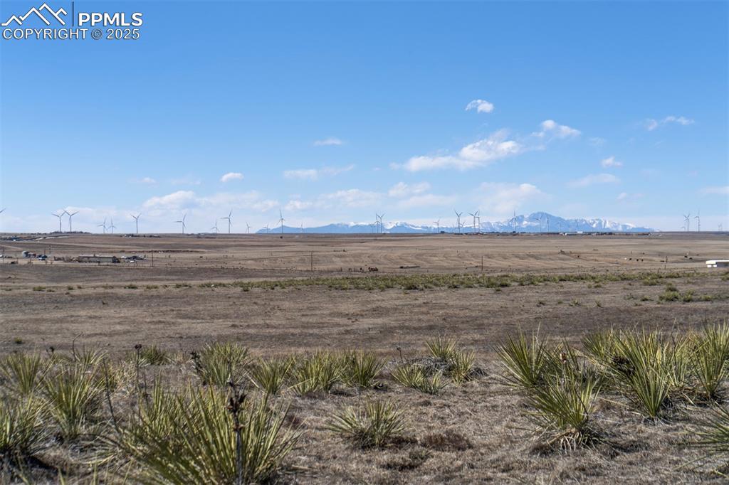 Image 19 of 42: Other