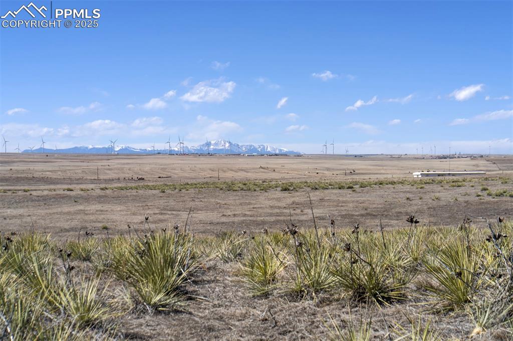 Image 20 of 42: Other