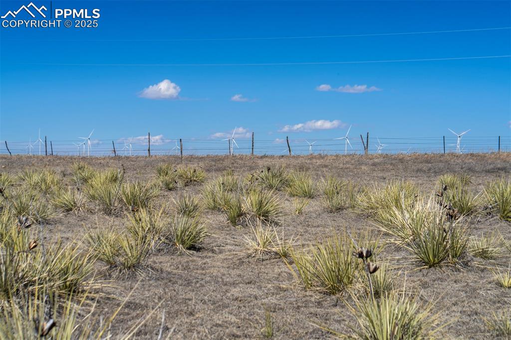 Image 21 of 42: Other