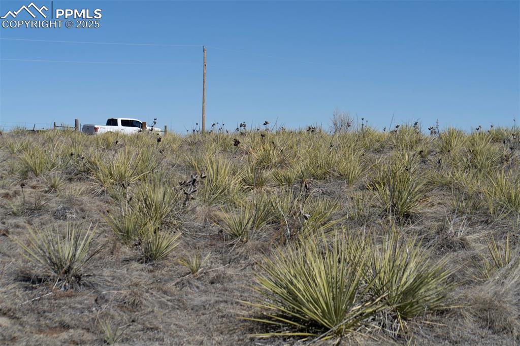 Image 24 of 42: Other