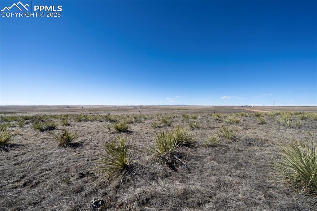 Image 5 of 42: Other