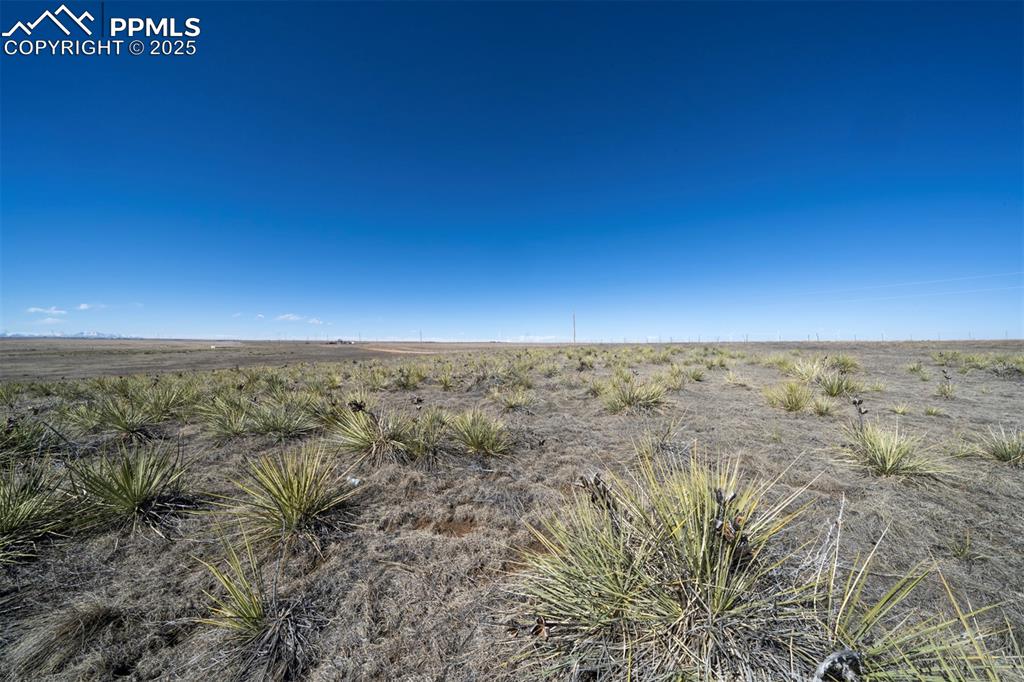 Image 6 of 42: Other