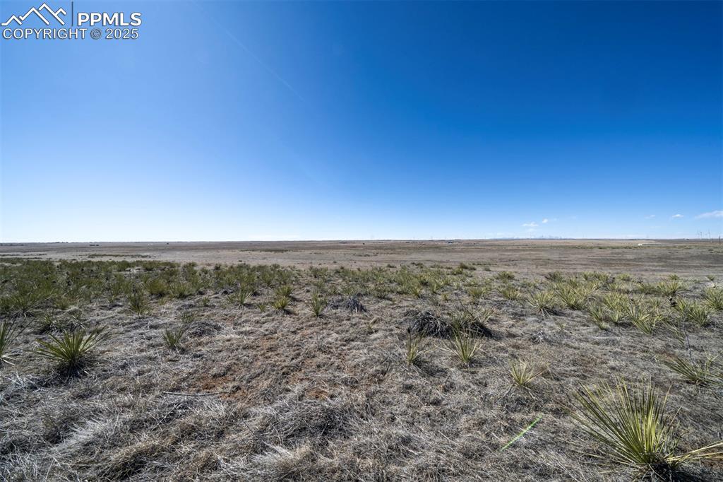 Image 7 of 42: Other