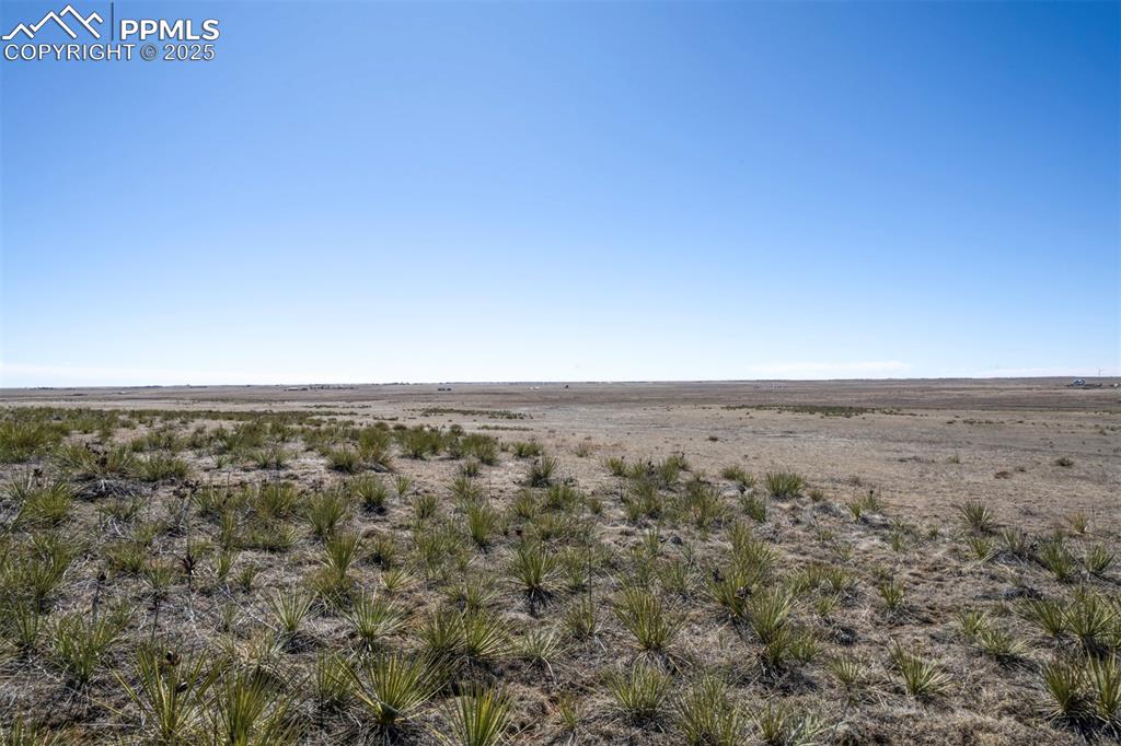 Image 8 of 42: Other