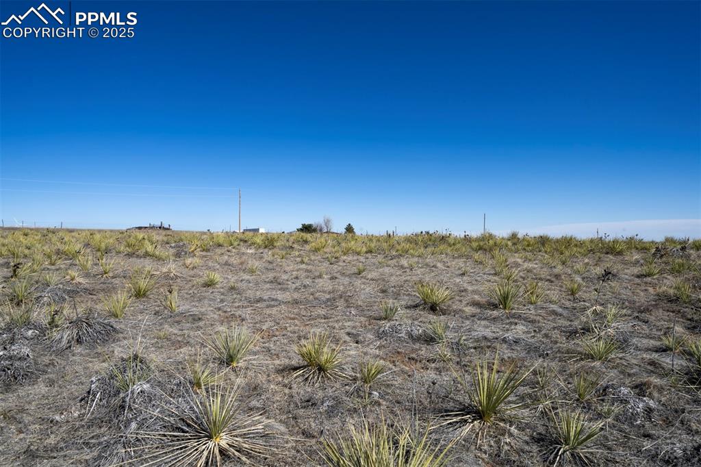 Image 9 of 42: Other