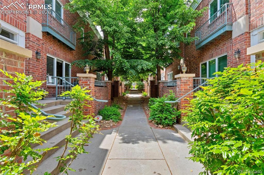 Image 2 of 27: Sweet Walkway: Warm Brick and Greenery