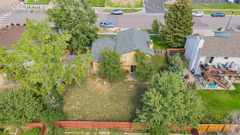 Image 30 of 37: Bird