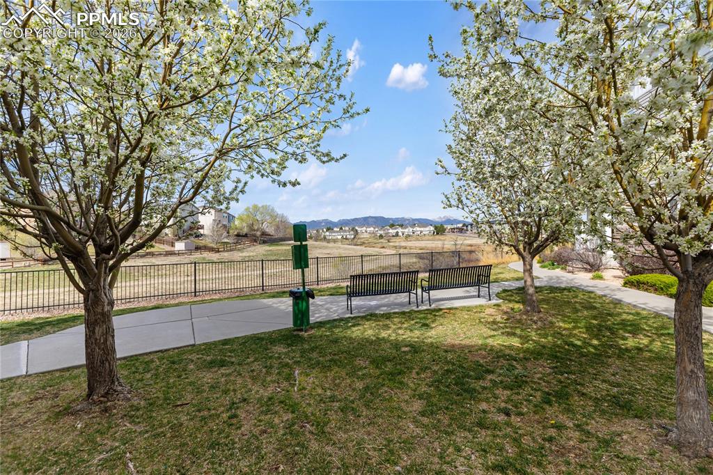 Image 32 of 38: Yard