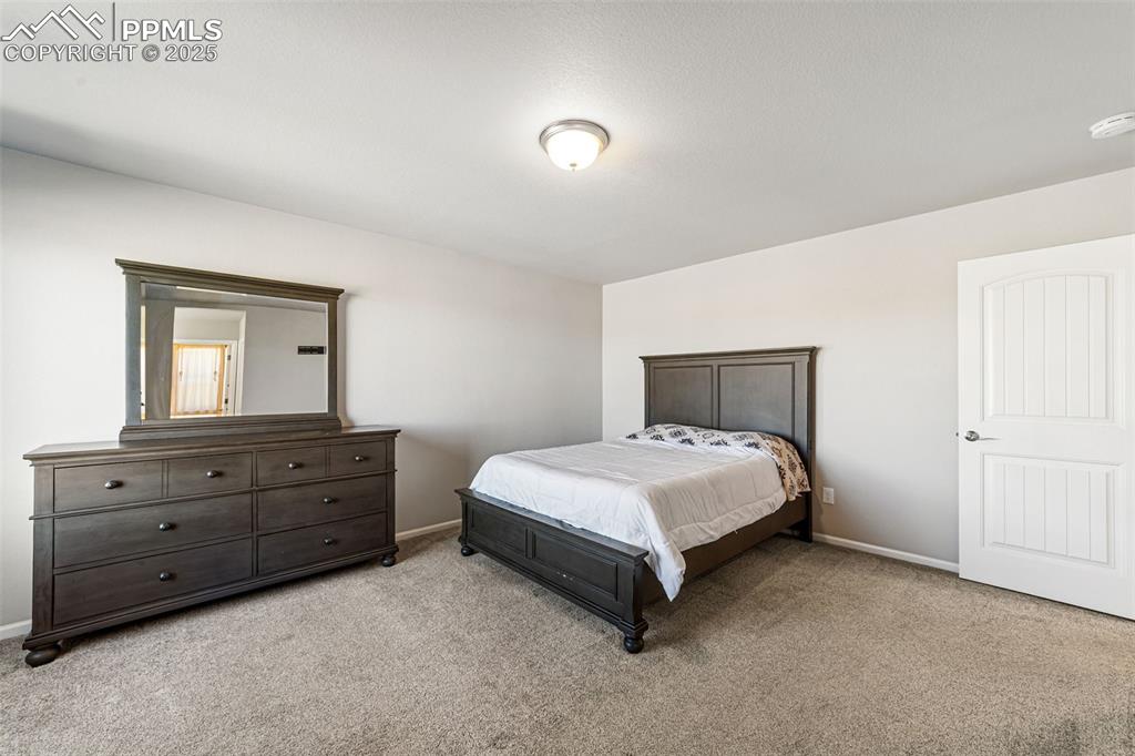 Image 8 of 23: Expansive primary suite with plush carpet, modern finishes, and plenty of n