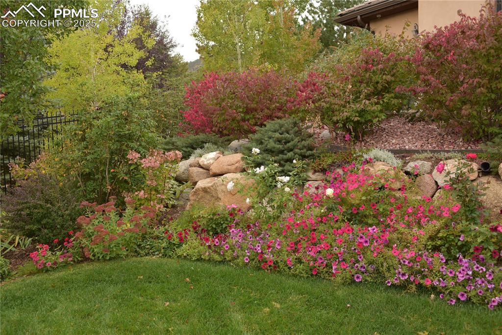 Image 41 of 50: Gardens in bloom!