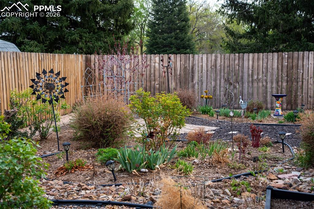 Image 35 of 50: Yard