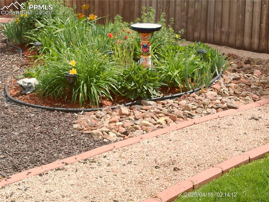 Image 37 of 50: Backyard Flowers in Bloom