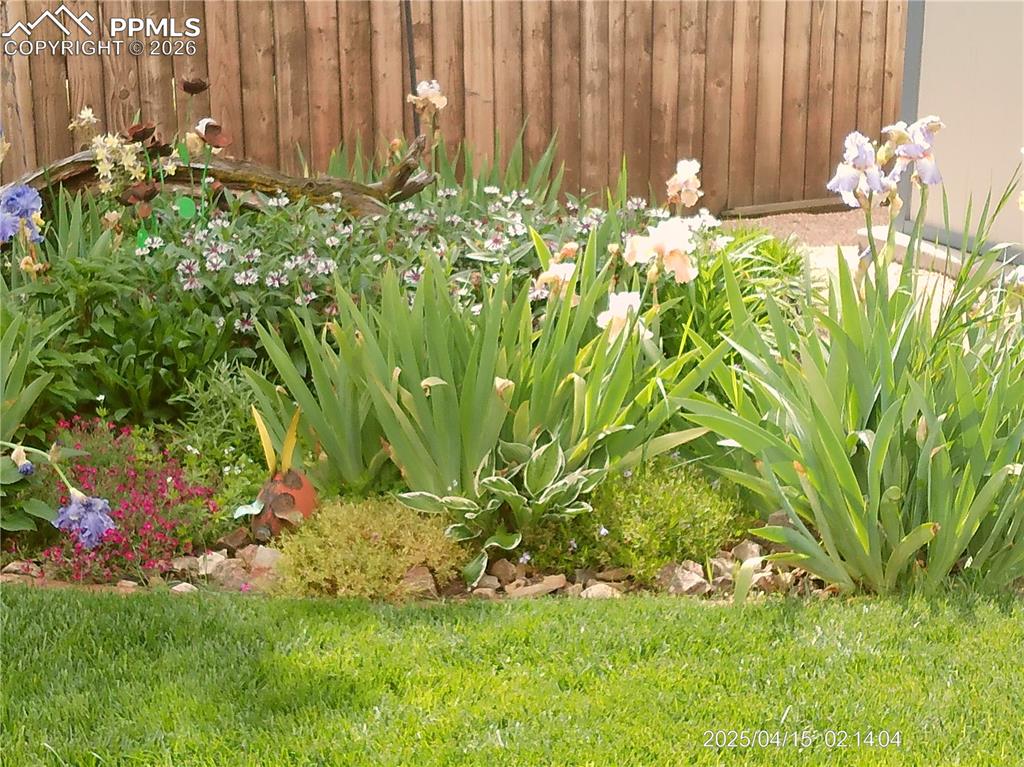 Image 39 of 50: Backyard Flowers in Bloom
