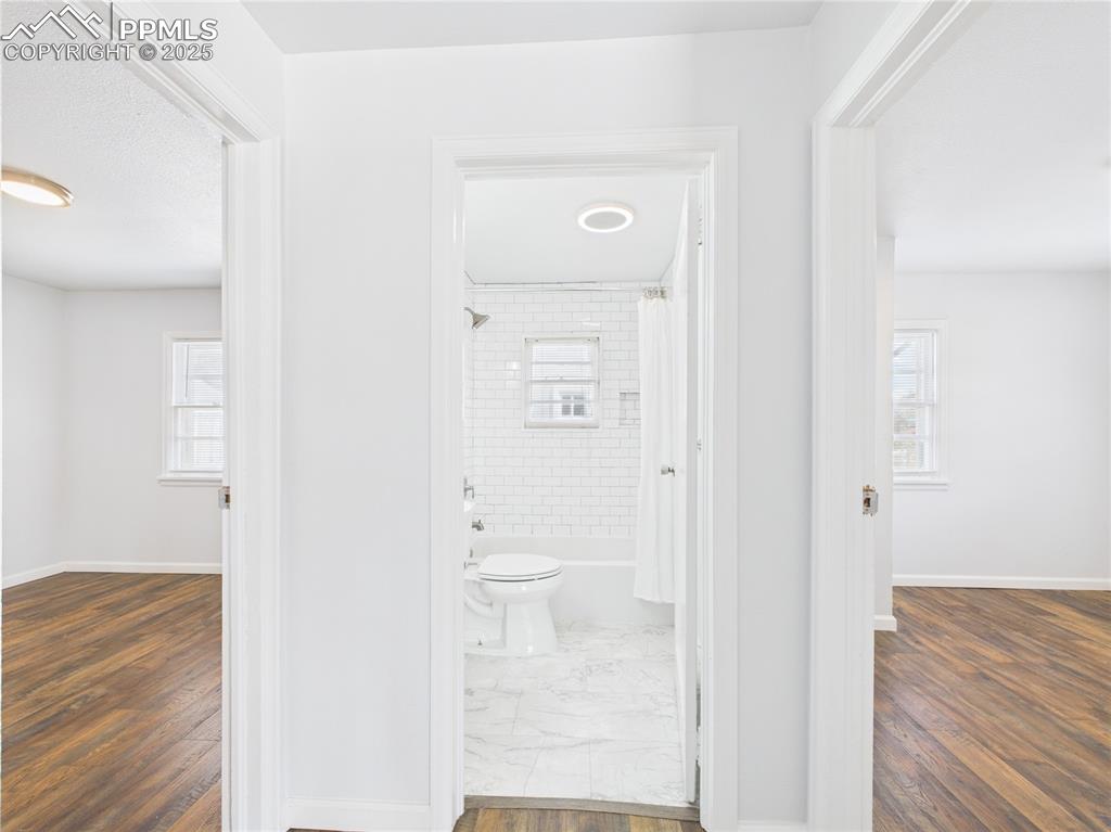 Image 18 of 22: Other