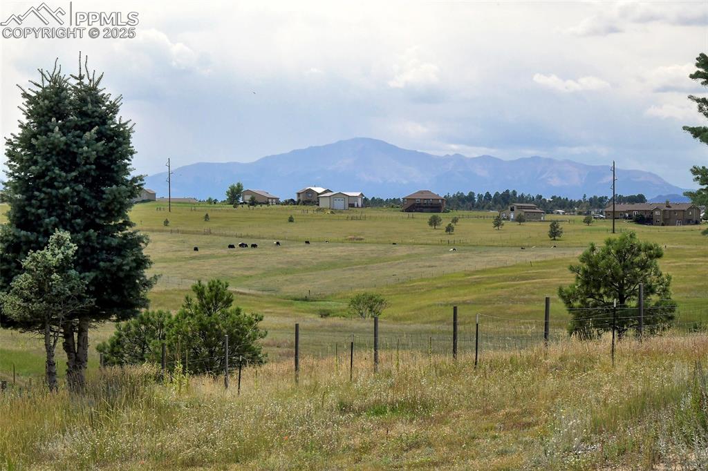 Image 45 of 50: View