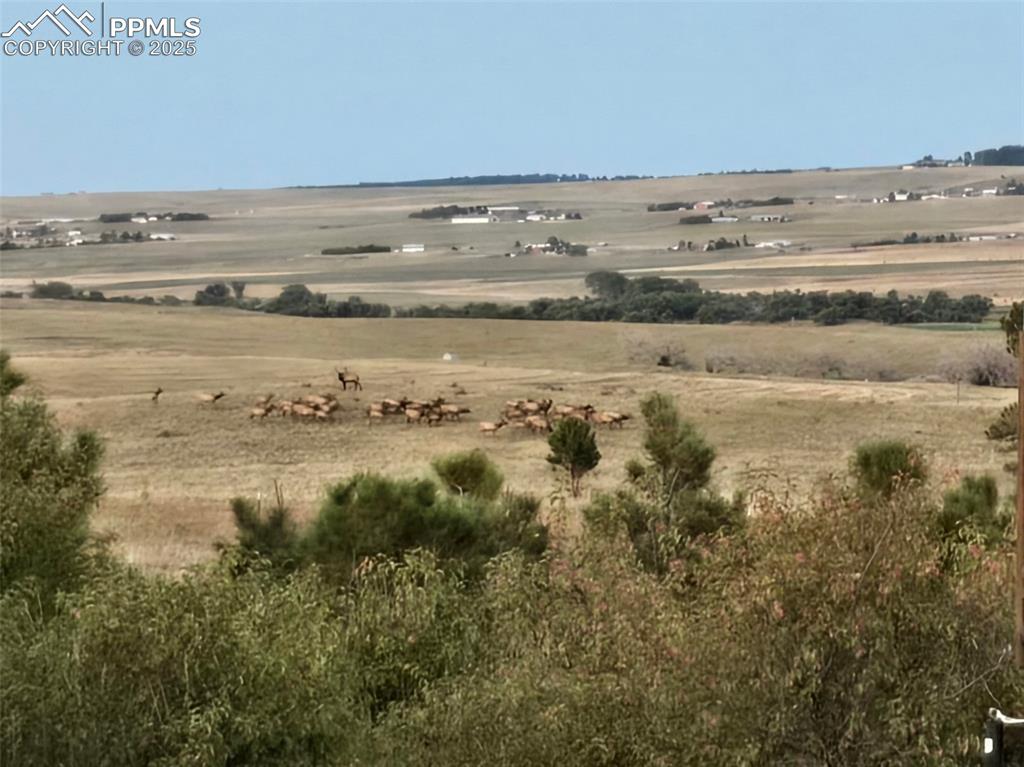 Image 20 of 39: View