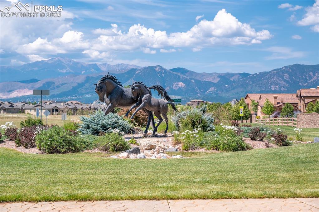 Image 48 of 50: View