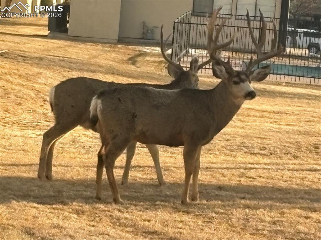 Image 29 of 29: View