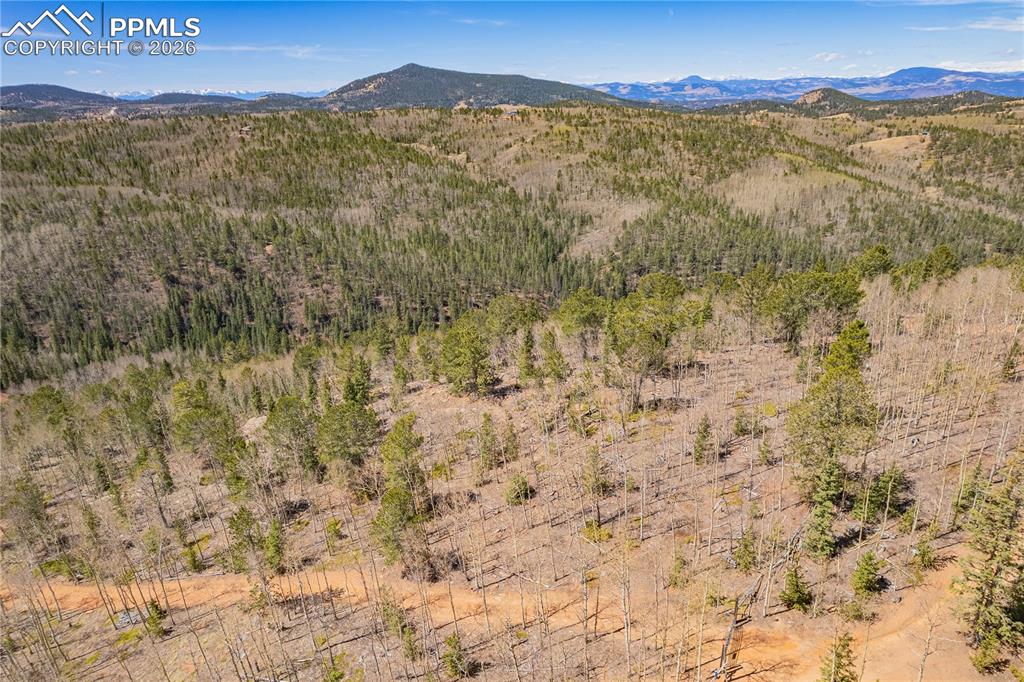 Image 6 of 7: View