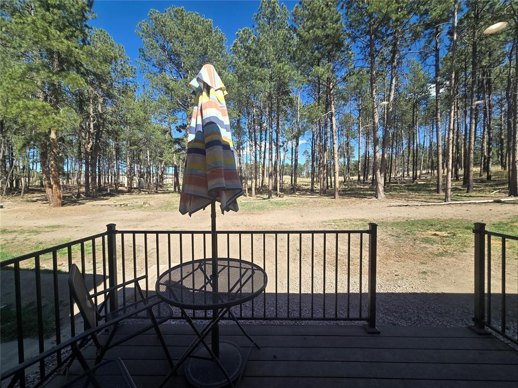 Image 12 of 19: Deck