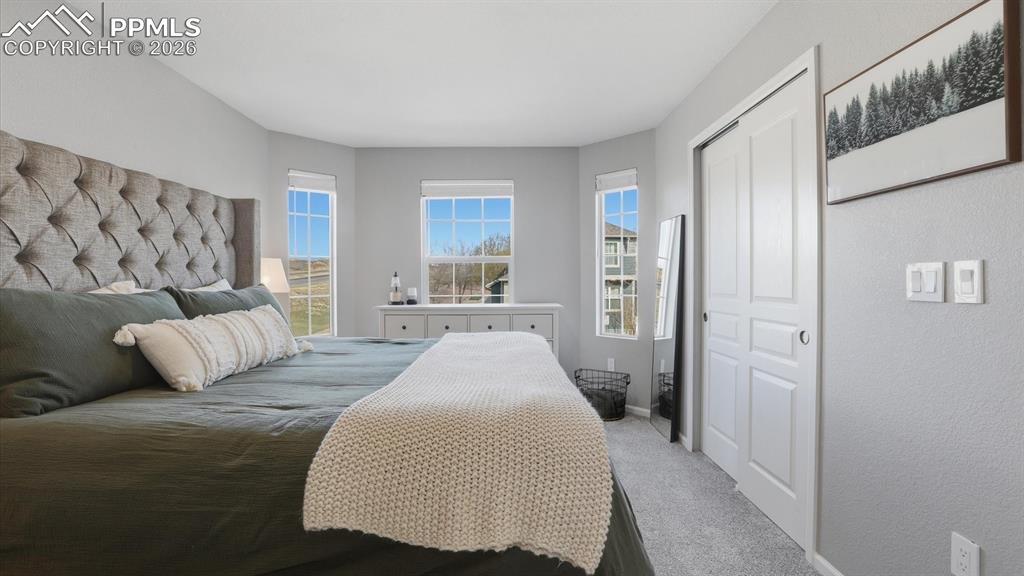 Image 25 of 50: The primary suite features neutral carpet, a wall of windows, a generous cl