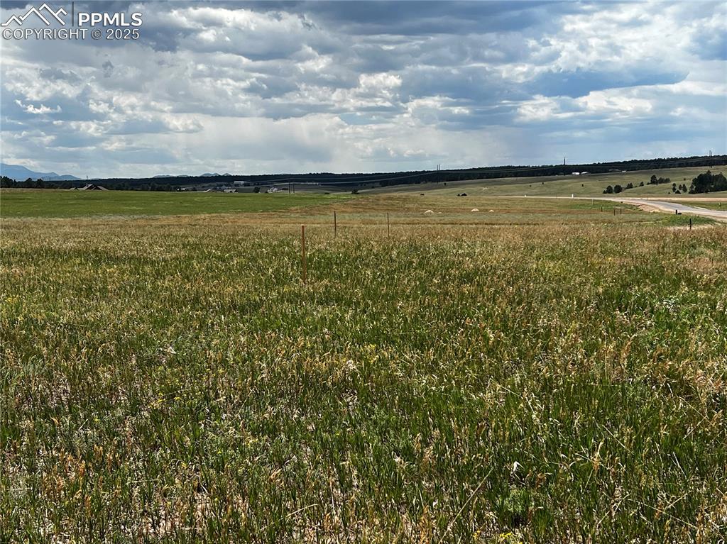 Image 9 of 21: North Views