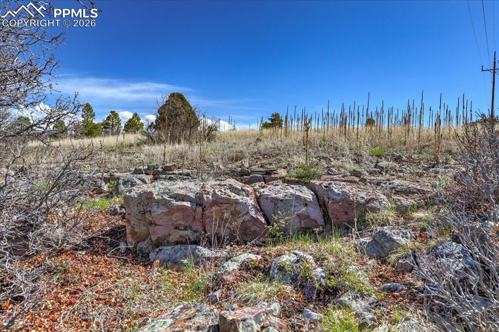 Image 17 of 31: View of undeveloped land