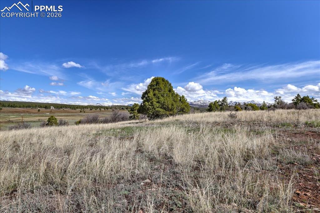 Image 18 of 31: View of undeveloped land featuring rural landscape