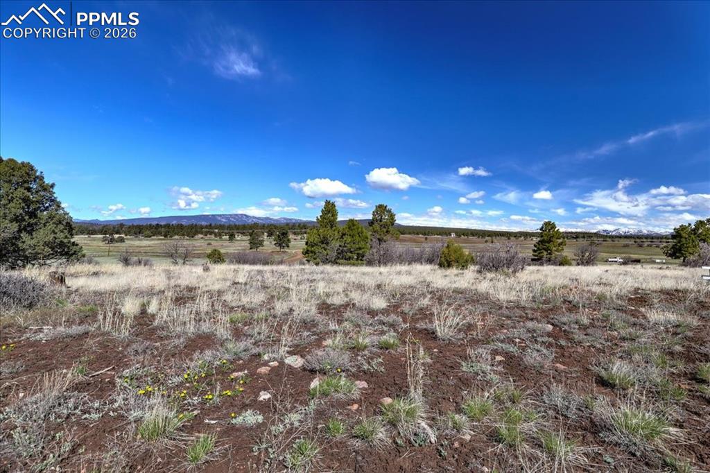 Image 21 of 31: View of undeveloped land featuring rural landscape