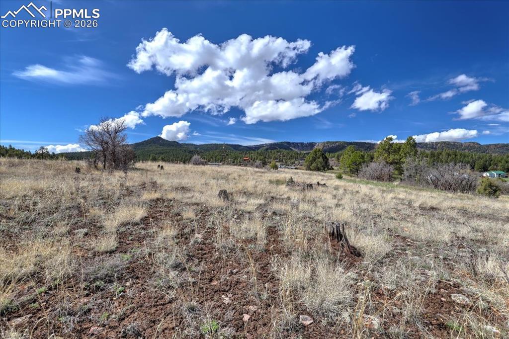 Image 26 of 31: View of mountain background with rural landscape