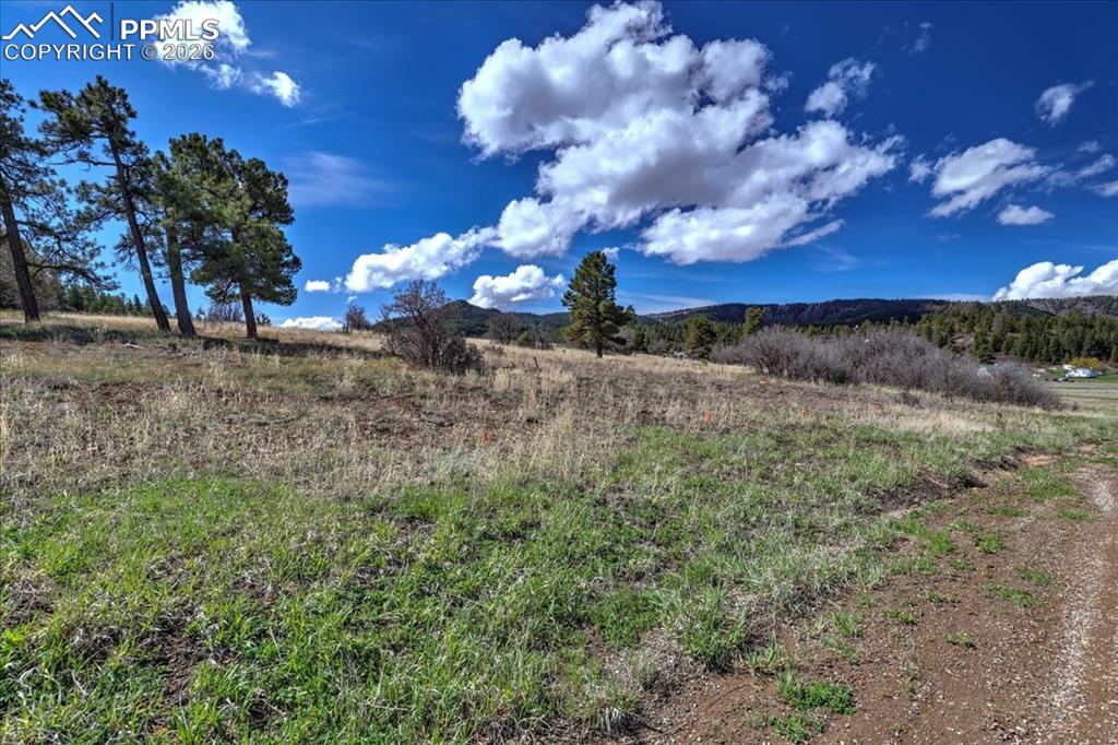 Image 29 of 31: View of mountain backdrop with rural landscape