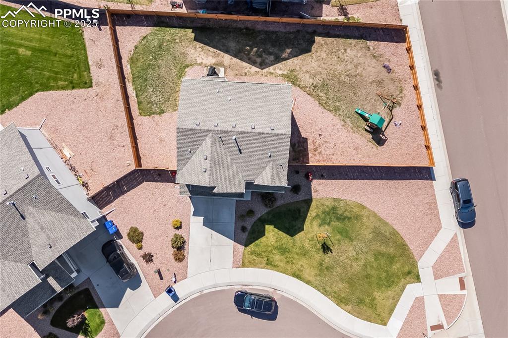 Image 39 of 40: Bird