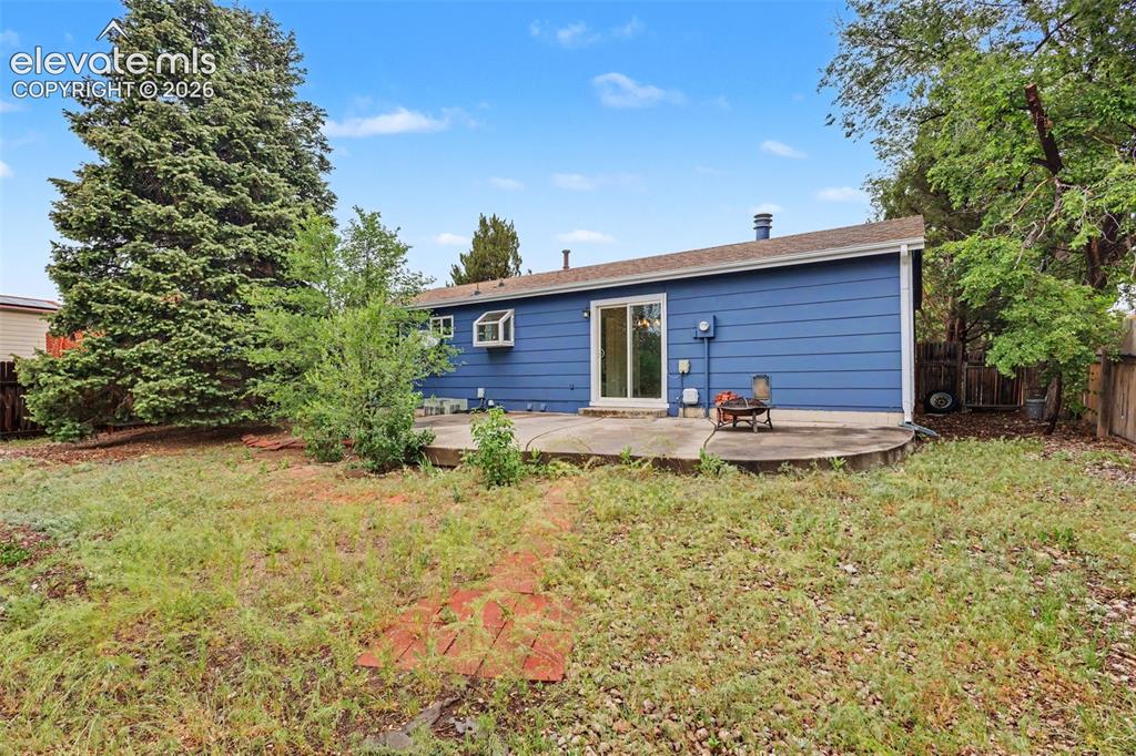 Image 42 of 43: Expansive backyard featuring a large evergreen tree and a concrete patio