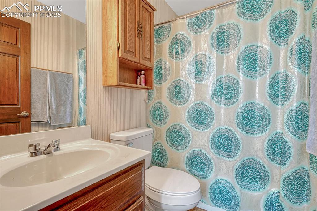Image 21 of 32: Bedroom featuring carpet flooring, and a closet bathed in natural light