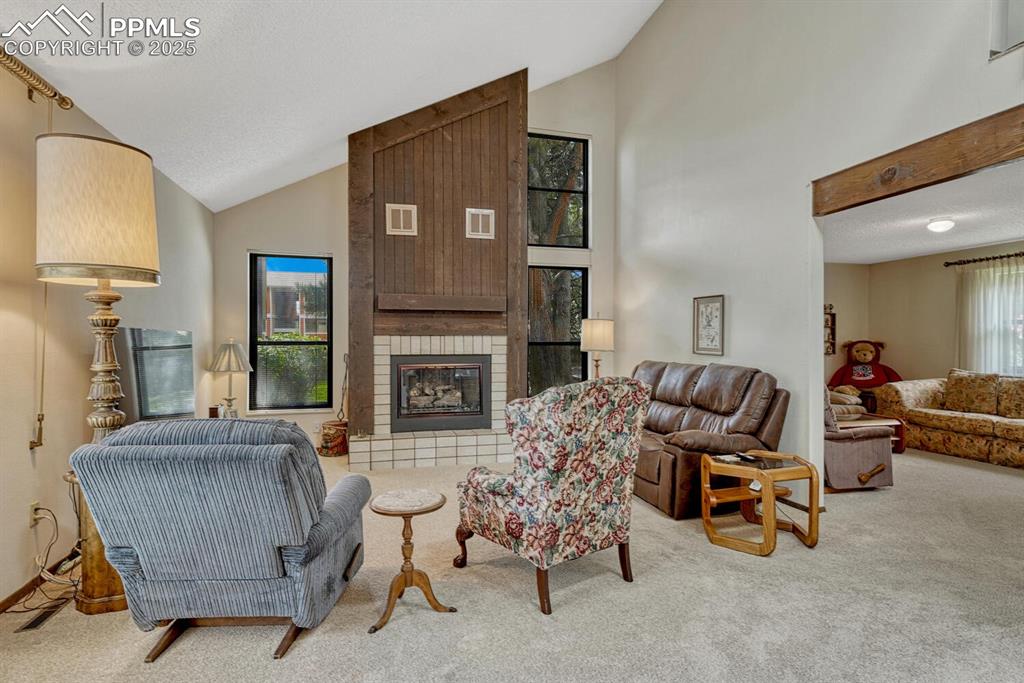 Image 3 of 46: Living room with carpeted floors, high vaulted ceiling, skylight and a bric