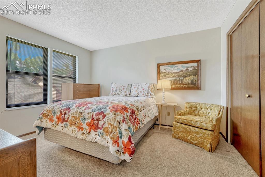 Image 30 of 46: Bedroom featuring carpet flooring, and a closet bathed in natural light