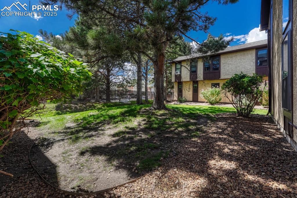 Image 37 of 46: Yard view showcasing extensive space for dog walking and plenty of shaded s