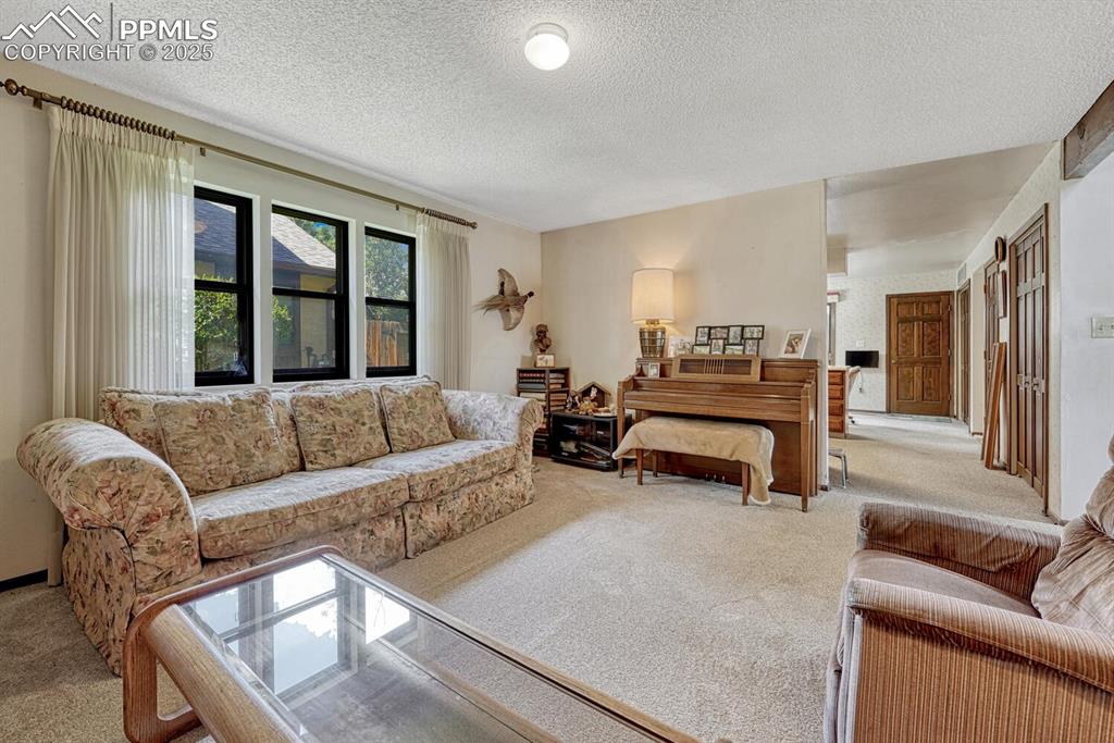 Image 9 of 46: Carpeted living room featuring a textured ceiling