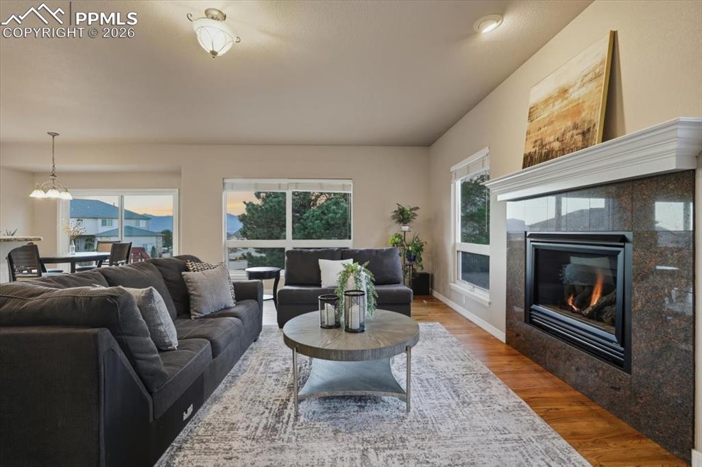 Image 8 of 50: Living Room