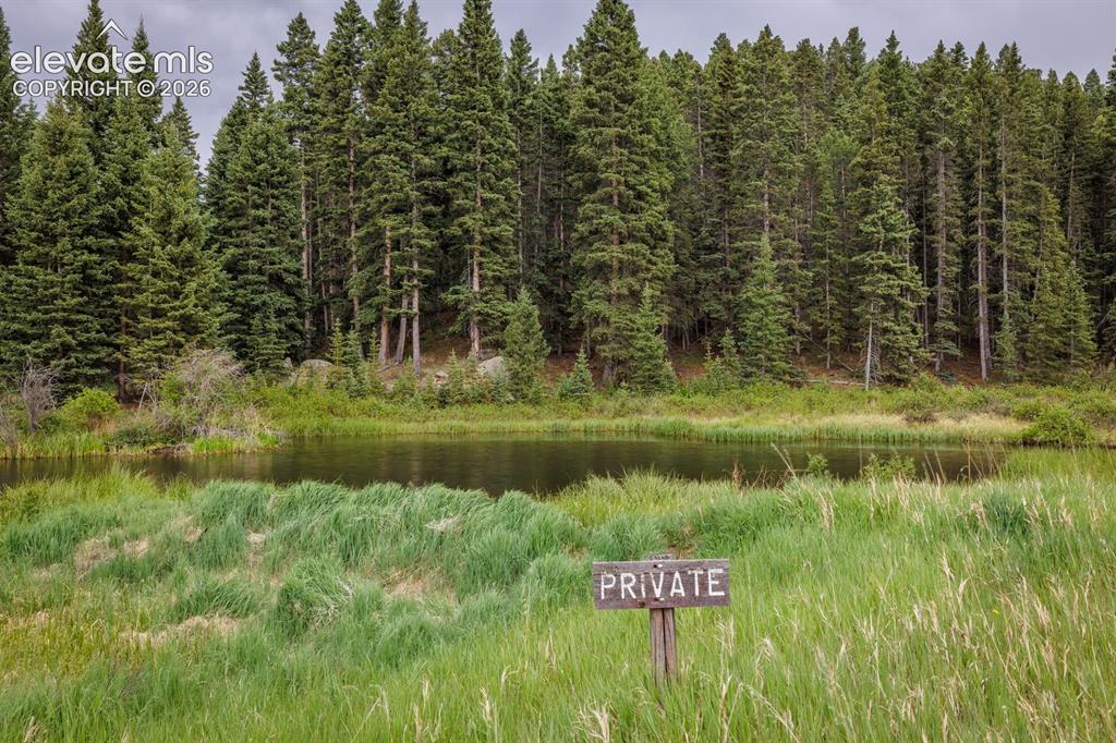 Image 44 of 50: Your own Private Pond!