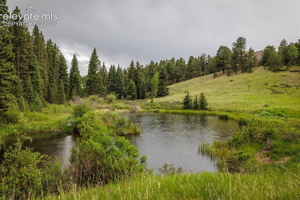 Image 45 of 50: Pond is on your property