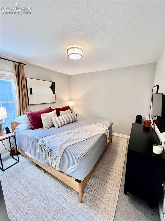 Image 13 of 20: Bedroom featuring a semi-flush mount ceiling fixture, light gray walls, a w