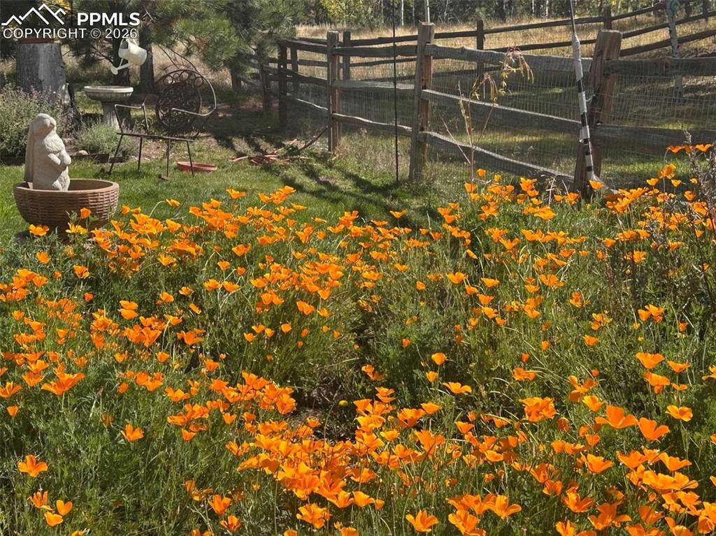 Image 31 of 35: The backyard offers a peaceful retreat, where you can relax on the slate pa