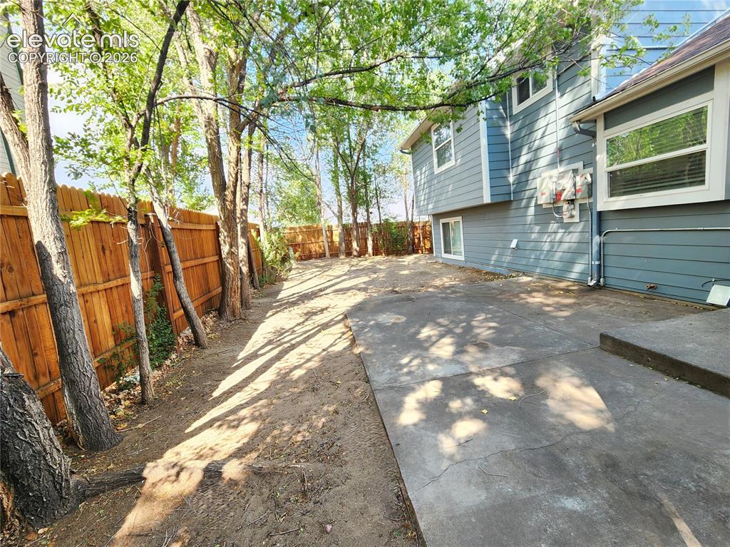 Image 40 of 49: Low-maintenance side yard featuring a concrete walkway and mature shade tre