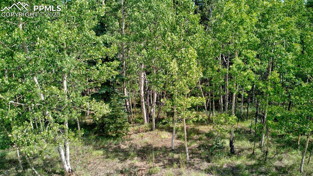 Image 11 of 24: Other